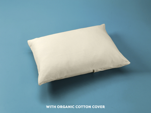 Moonlight Slumber Little Dreamer Toddler Pillow with Organic Cover